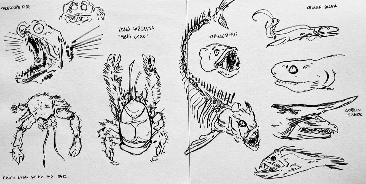 FISH!!!!!!