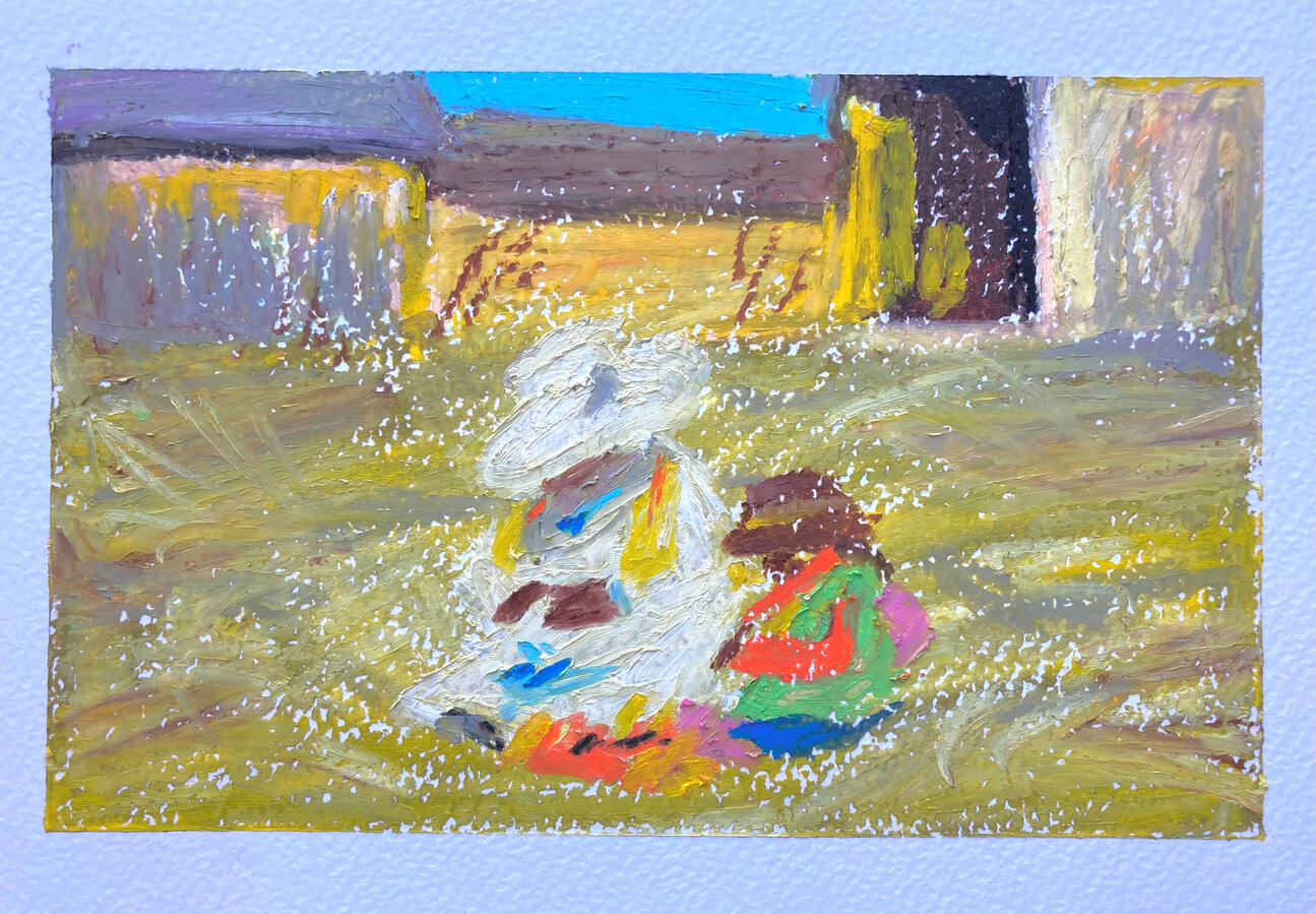 Impressions from Perù 2 (21\07)