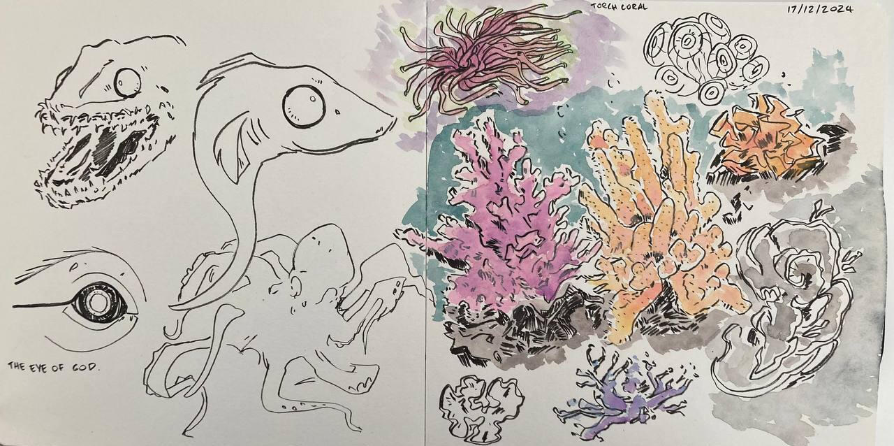 Coral studies (for a character design)