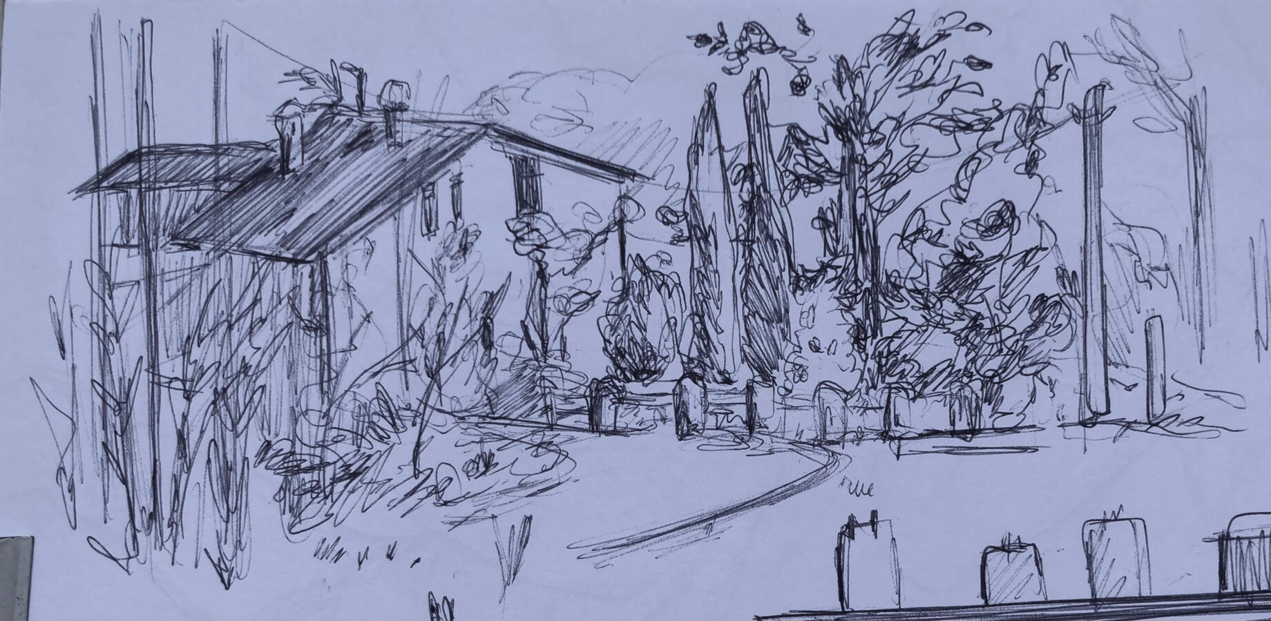The Neighbour